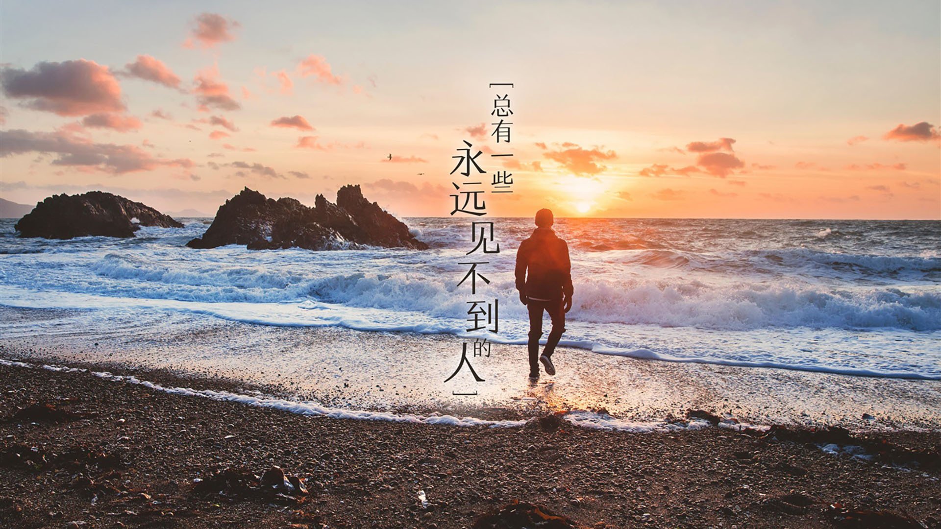 广告策划需要什么技能（广告策划需要做什么）