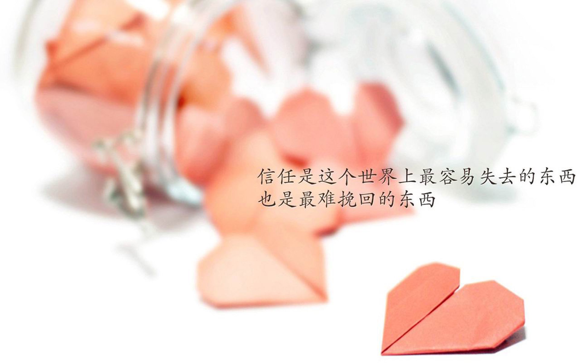 广告策划的主要特征(广告策划五大基本要素)